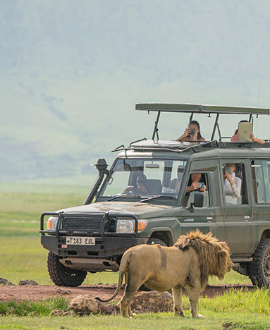 Ngorongoro Crater Safari