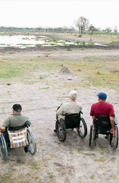 Wheelchair Accessible Travel