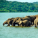 Queen Elizabeth National Park Uganda Safari